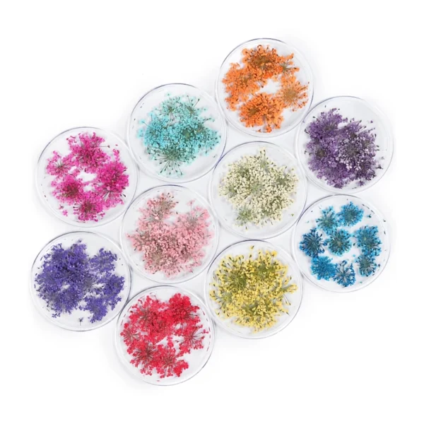 3D Dried Flower Nail Art Decorations Set - Image 5