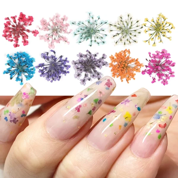 3D Dried Flower Nail Art Decorations Set - Image 2
