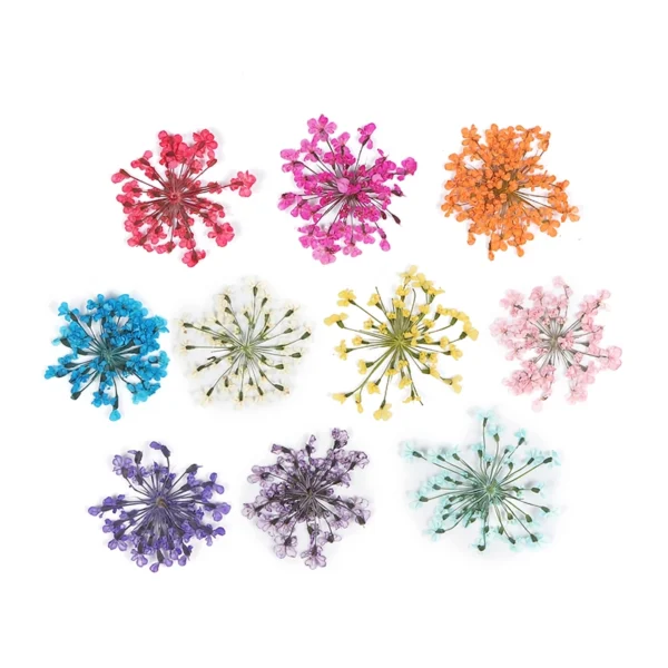 3D Dried Flower Nail Art Decorations Set - Image 3