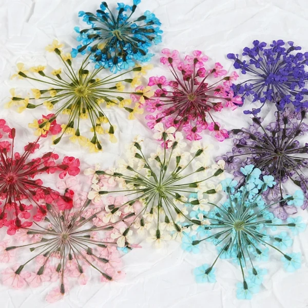 3D Dried Flower Nail Art Decorations Set - Image 4