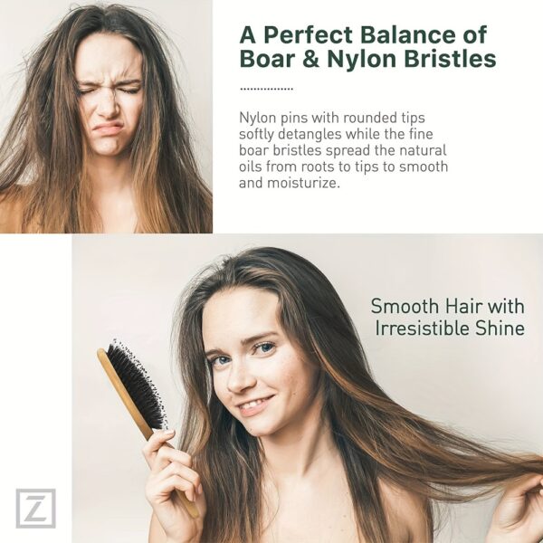 Natural Boar Bristle Hair Brush for Scalp Massage and Detangling - Image 6