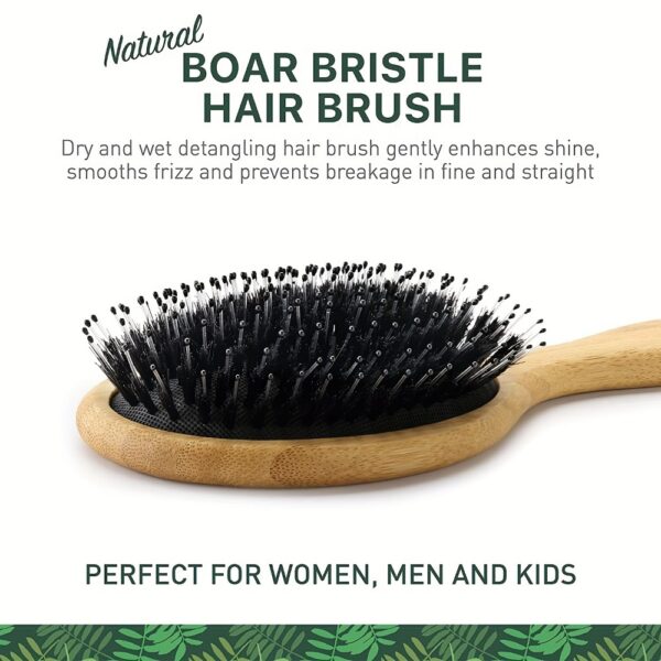 Natural Boar Bristle Hair Brush for Scalp Massage and Detangling - Image 4