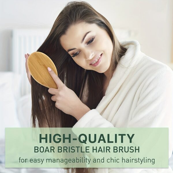 Natural Boar Bristle Hair Brush for Scalp Massage and Detangling - Image 5