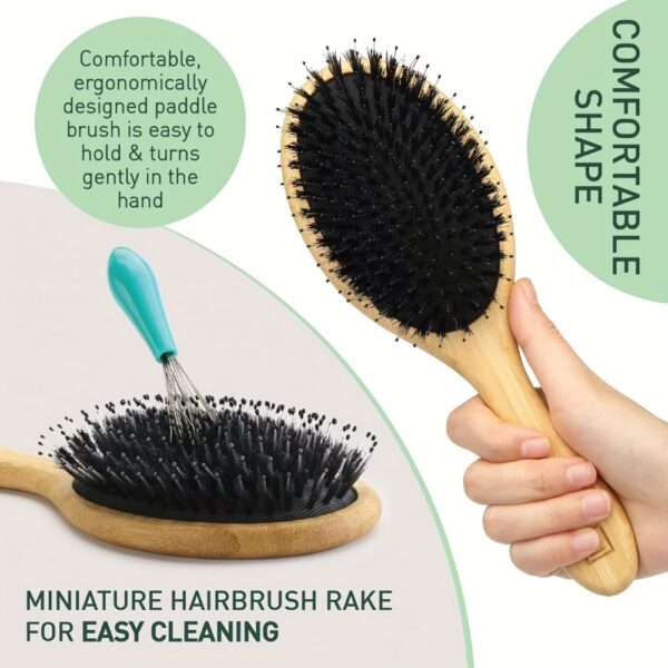 Natural Boar Bristle Hair Brush for Scalp Massage and Detangling - Image 2