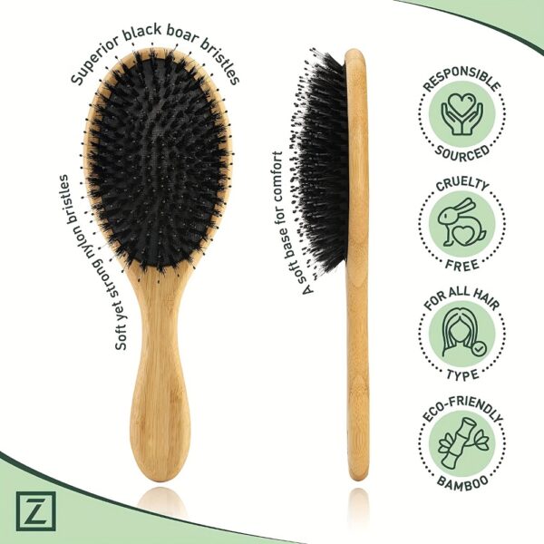 Natural Boar Bristle Hair Brush for Scalp Massage and Detangling - Image 3