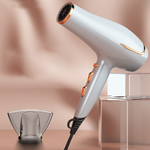 Professional Electric Hair Dryer - Image 3