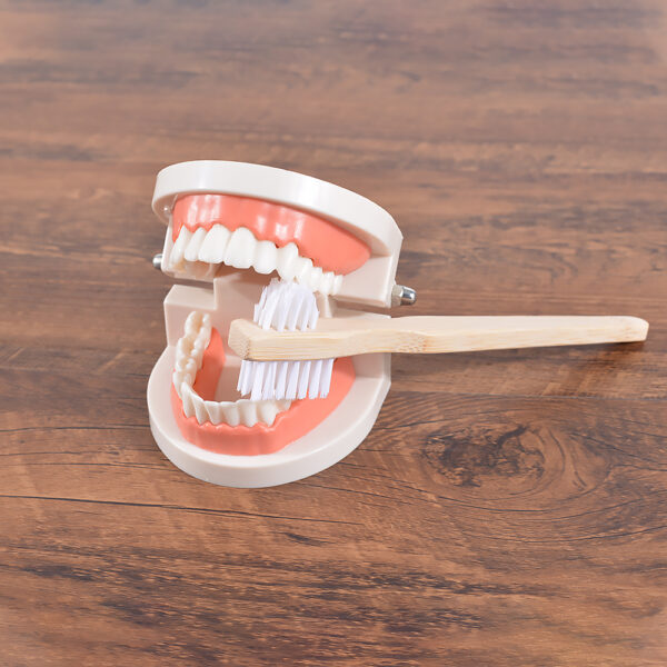 Denture Cleaning Brush - Image 3