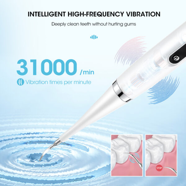 Electric Toothbrush Teeth Cleaner - Image 6