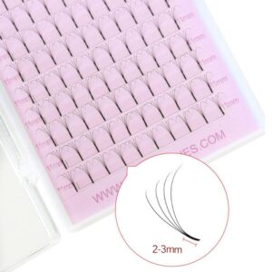 Premade Fans Long Stem Eyelashes