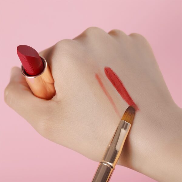 Fashion Makeup Lip Brush and Lipstick Concealer Brush Kit - Image 3