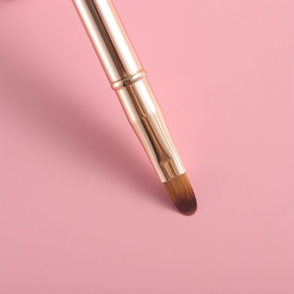 Fashion Makeup Lip Brush and Lipstick Concealer Brush Kit - Image 5
