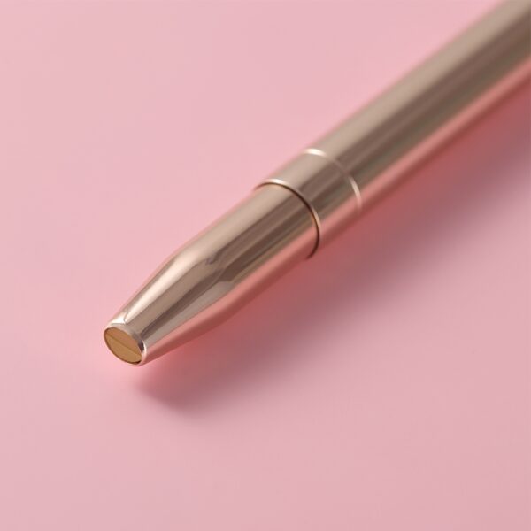 Fashion Makeup Lip Brush and Lipstick Concealer Brush Kit - Image 8